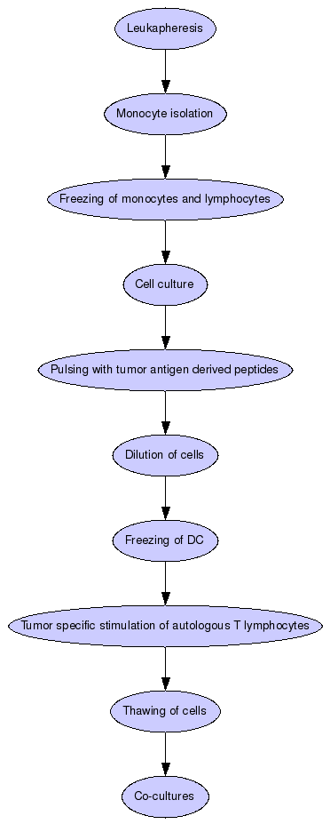 Generation of monocyte-derived DC under GMP conditions Graph