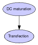 Improving the efficacy of DC vaccines - ArcelisTM Graph