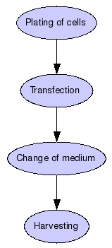 Production of lentiviruses for RNAi and gene expression Graph