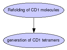 Protocols to refold in vitro CD1 molecules, which were used for the generation of CD1 tetramers Graph
