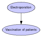 Active immunotherapy in advanced melanoma patients Graph