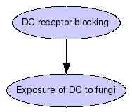 Inhibition assay Graph